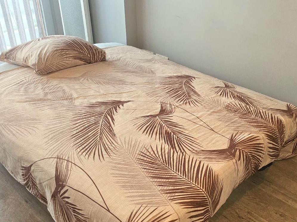 Appartement Petit T2 Neuf